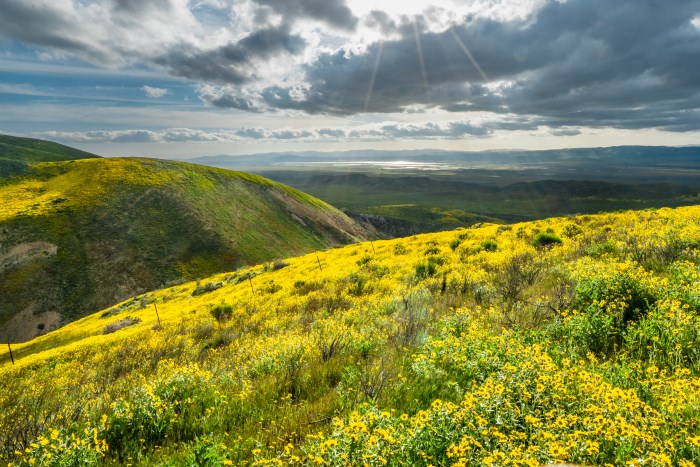 Green hills with cloudy blue sky