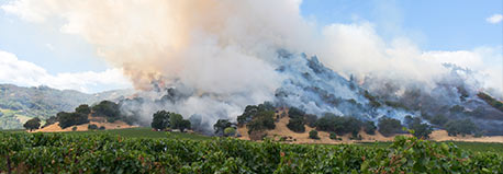 Smoke on a hillside